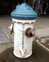 AWSS_Hydrant_Lee_100x125
