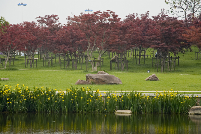 ©2006 EDAW/Photography by Dixi Carrillo