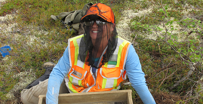 Working in mosquitoes_690x355
